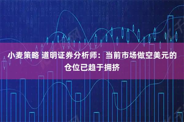 小麦策略 道明证券分析师：当前市场做空美元的仓位已趋于拥挤