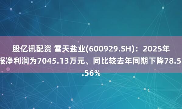 股亿讯配资 雪天盐业(600929.SH)：2025年中报净利润为7045.13万元、同比较去年同期下降78.56%